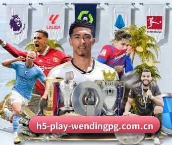m.h5-play-wendingpg.com.cn APP